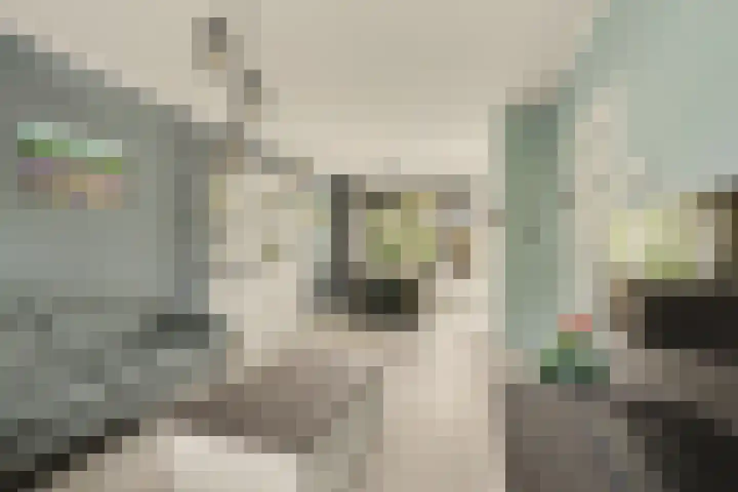 Van Beethovenstraat 23 Naaldwijk thumbnail 4