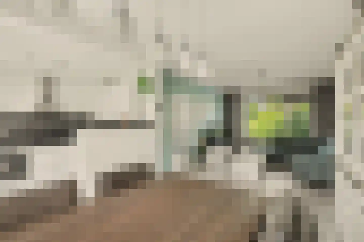 Van Beethovenstraat 23 Naaldwijk thumbnail 7