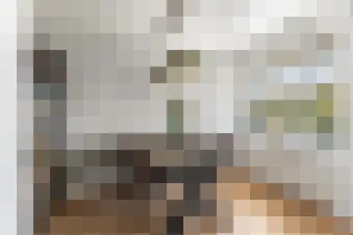 Van Beethovenstraat 3 Ridderkerk thumbnail 10