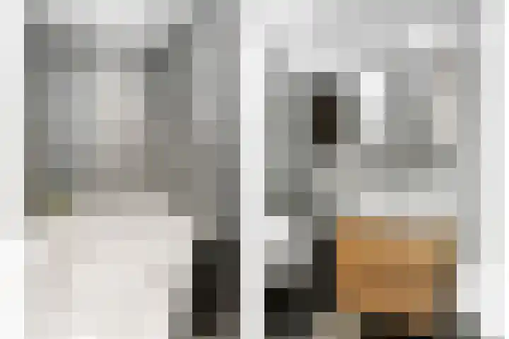 Van Beethovenstraat 3 Ridderkerk thumbnail 22