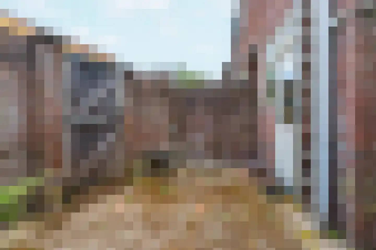 van Beethovenstraat 36 Nijmegen thumbnail 43
