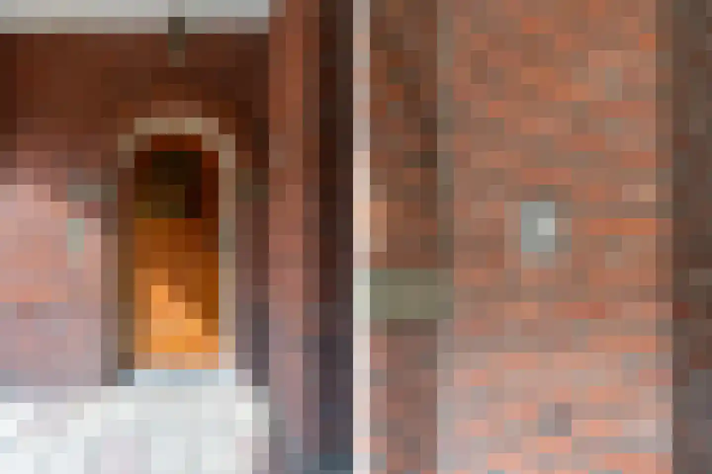 van Beethovenstraat 36 Nijmegen thumbnail 46