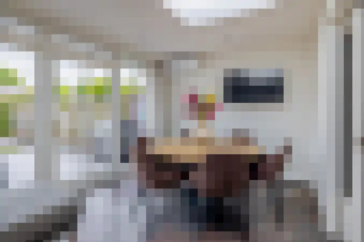 Van Beethovenstraat 5 Schijndel thumbnail 8