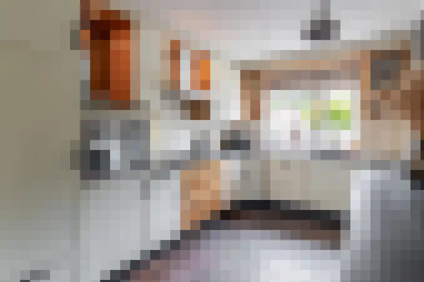 Van Beethovenstraat 5 Schijndel thumbnail 9