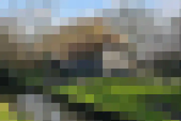 Van Beethovenstraat 9 Naaldwijk thumbnail 32