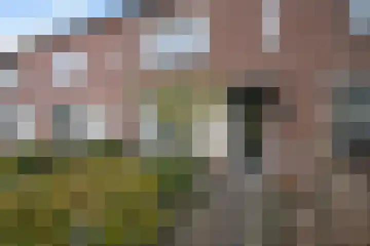 Van Beethovenstraat 9 Naaldwijk thumbnail 7