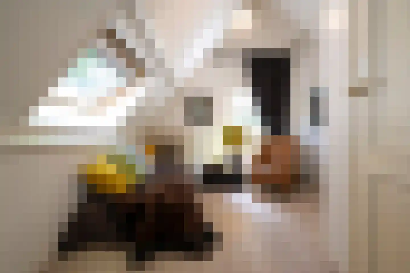 van Beeverlaan 6 a Laren thumbnail 38