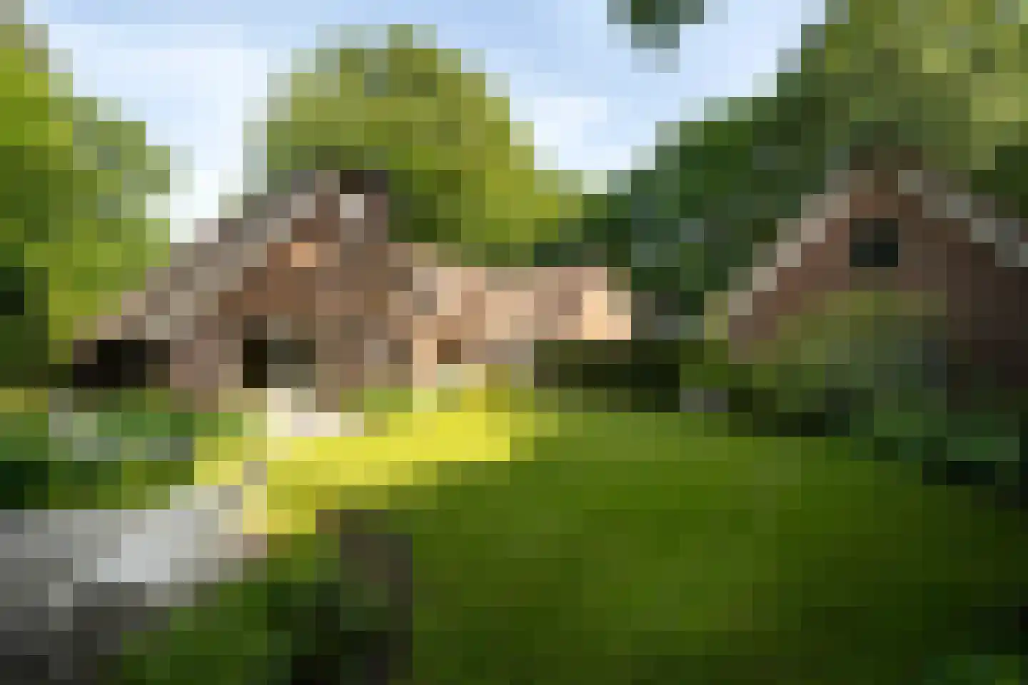 van Beeverlaan 6 a Laren thumbnail 47