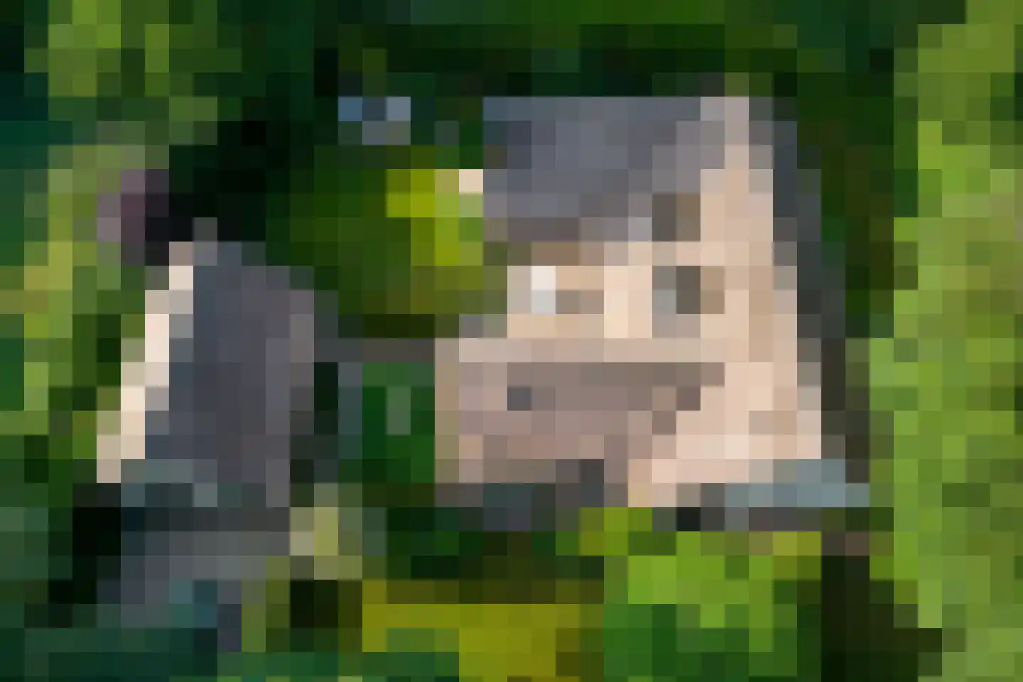 van Beeverlaan 6 a Laren thumbnail 6