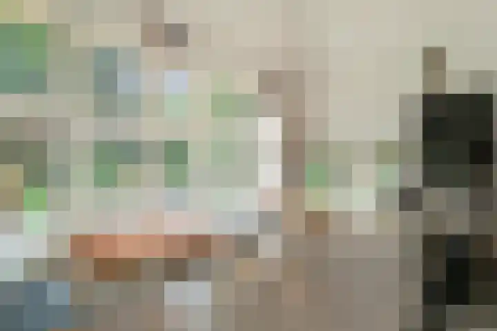 van Beeverlaan 7 Laren thumbnail 10