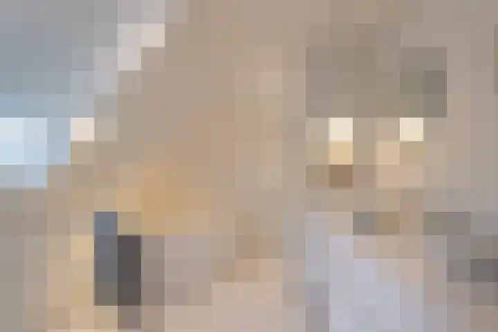 van Beeverlaan 7 Laren thumbnail 21