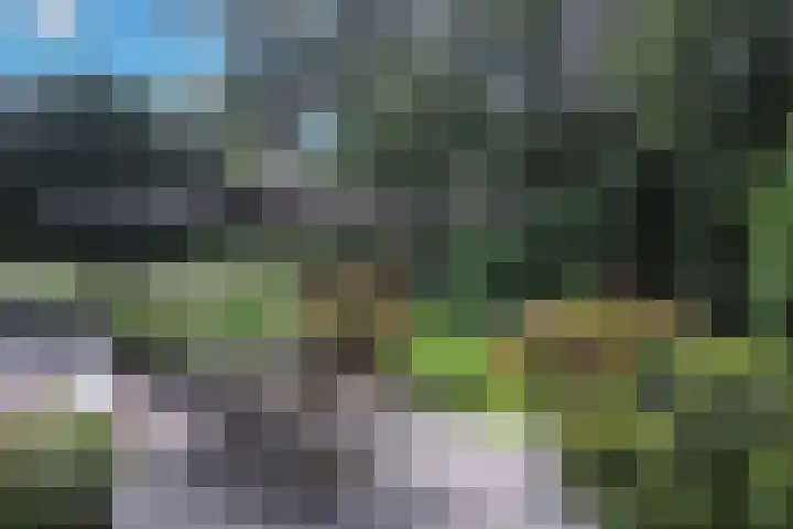van Beeverlaan 7 Laren thumbnail 28