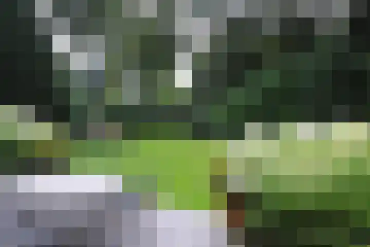 van Beeverlaan 7 Laren thumbnail 29