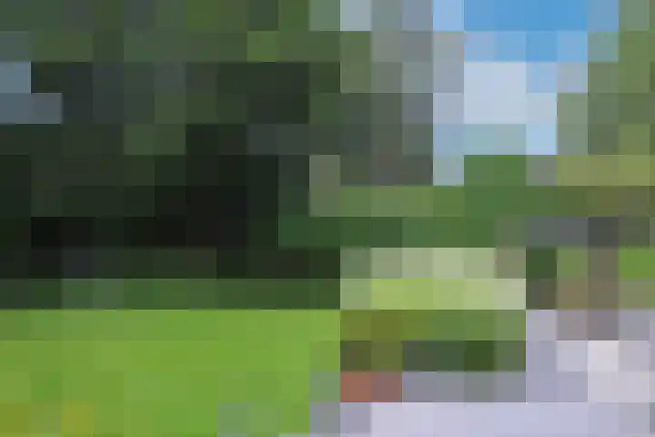 van Beeverlaan 7 Laren thumbnail 30