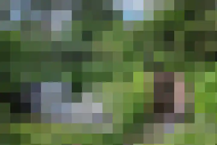 van Beeverlaan 7 Laren thumbnail 31