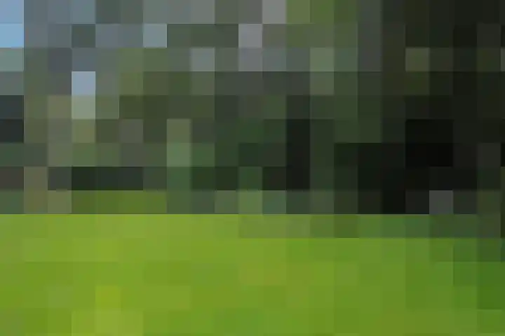 van Beeverlaan 7 Laren thumbnail 32