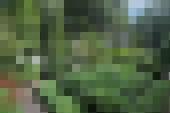 van Beeverlaan 7 Laren thumbnail 33