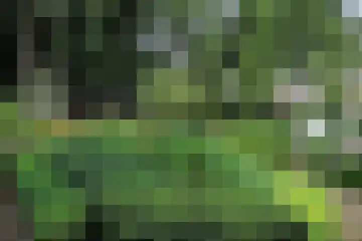van Beeverlaan 7 Laren thumbnail 34