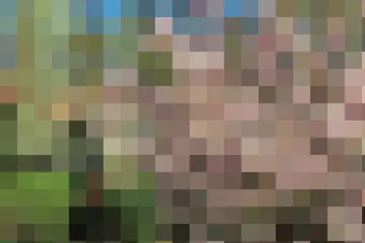 van Beeverlaan 7 Laren thumbnail 35