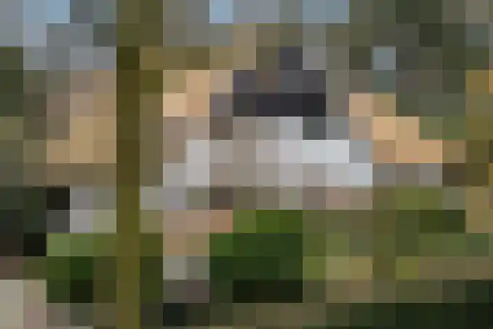 van Beeverlaan 7 Laren thumbnail 4