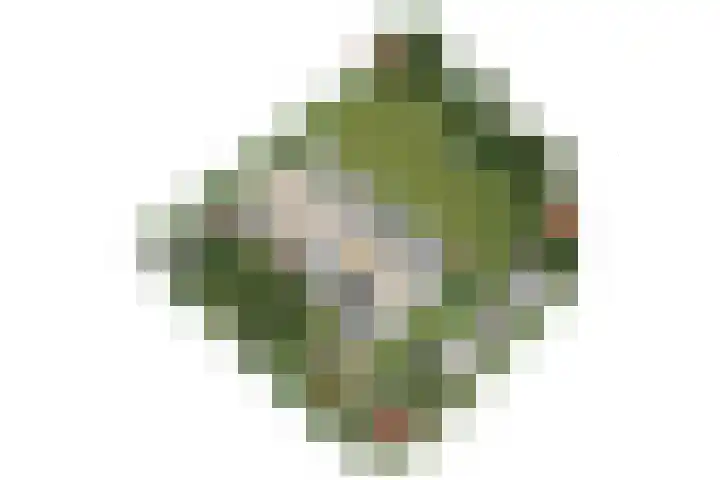 van Beeverlaan 7 Laren thumbnail 49