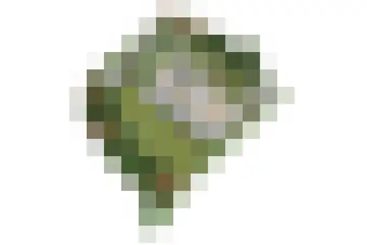 van Beeverlaan 7 Laren thumbnail 50