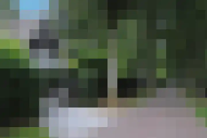 van Beeverlaan 7 Laren thumbnail 6