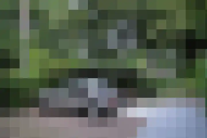 van Beeverlaan 7 Laren thumbnail 7