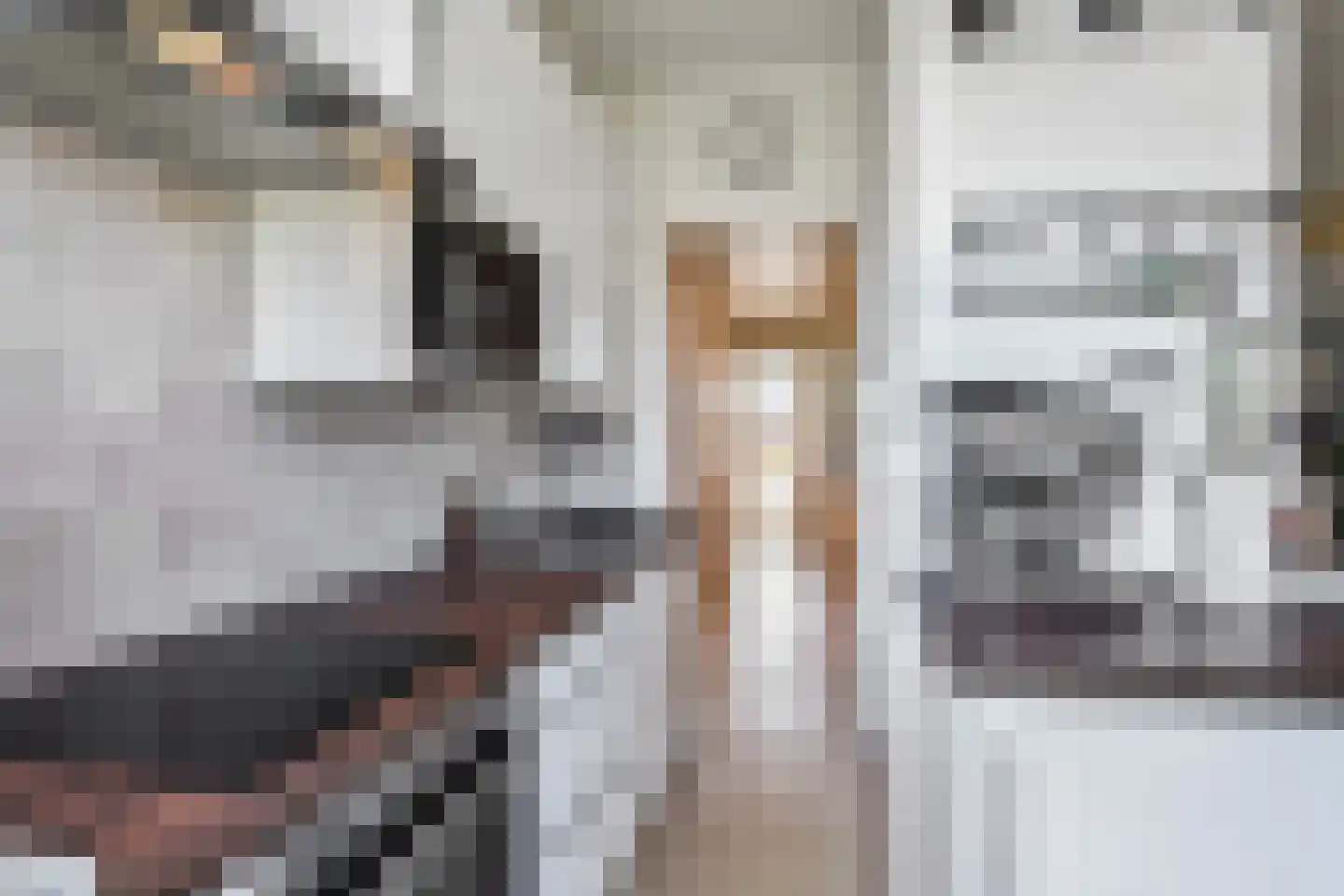 van Beijerenstraat 16 Voorburg thumbnail 17