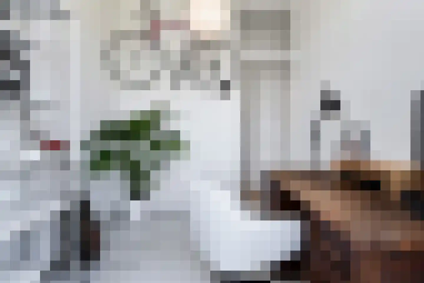 van Beijerenstraat 16 Voorburg thumbnail 23