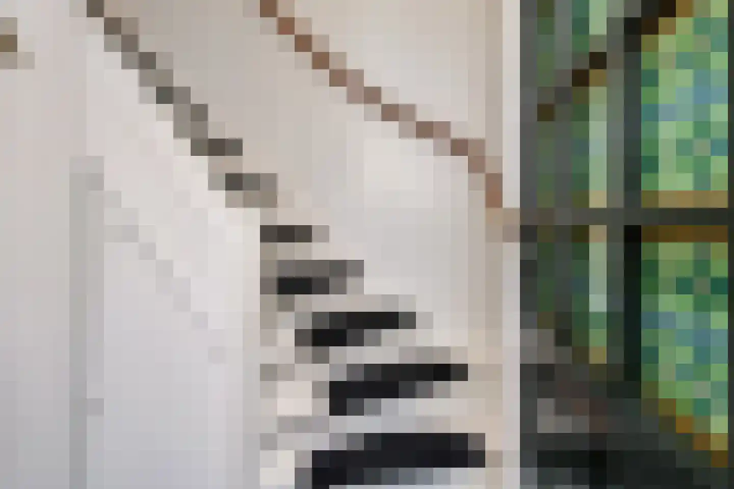 van Beijerenstraat 16 Voorburg thumbnail 6