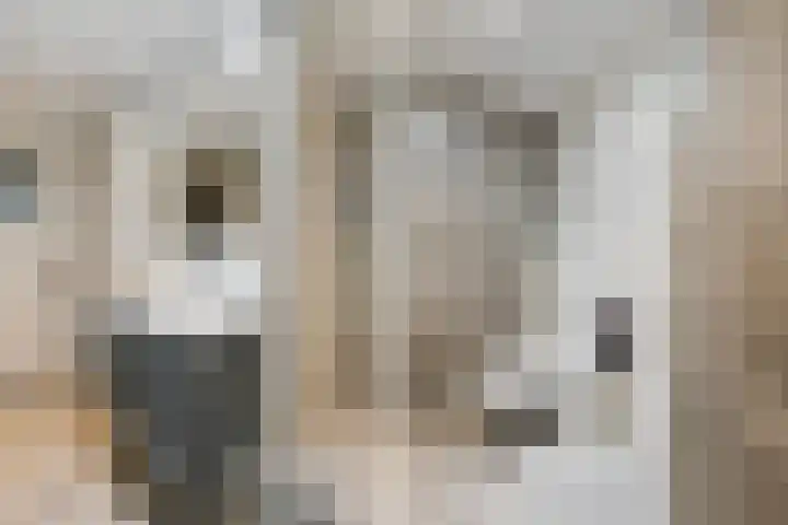 van Beijerenstraat 26 Voorburg thumbnail 23