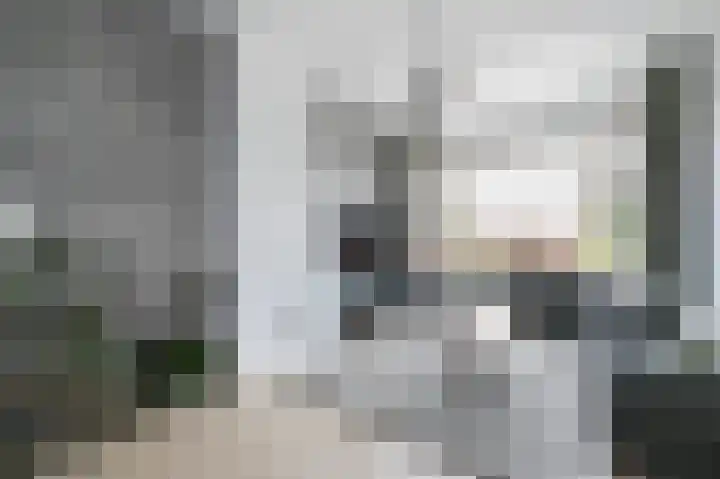van Beijerenstraat 26 Voorburg thumbnail 4