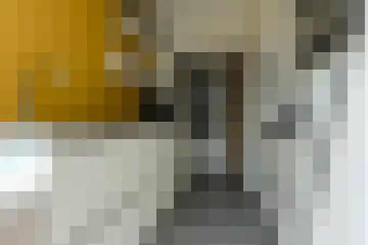 van Beijerenstraat 6 Hoorn thumbnail 13