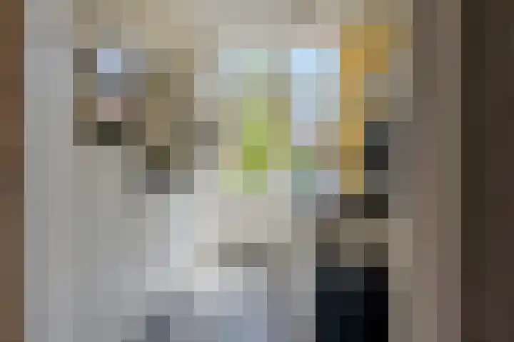 van Beijerenstraat 6 Hoorn thumbnail 4
