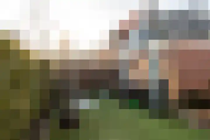 van Beijma thoe Kingmaweg 11 Heerenveen thumbnail 29