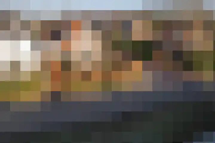 van Beijma thoe Kingmaweg 11 Heerenveen thumbnail 48