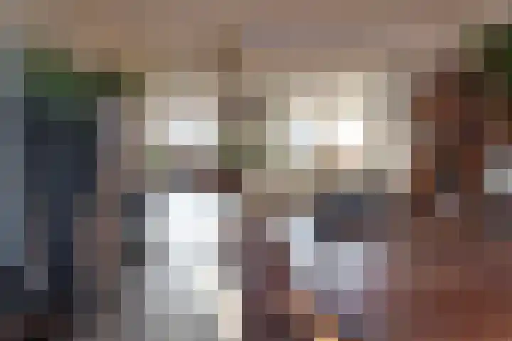 van Beijma thoe Kingmaweg 11 Heerenveen thumbnail 6