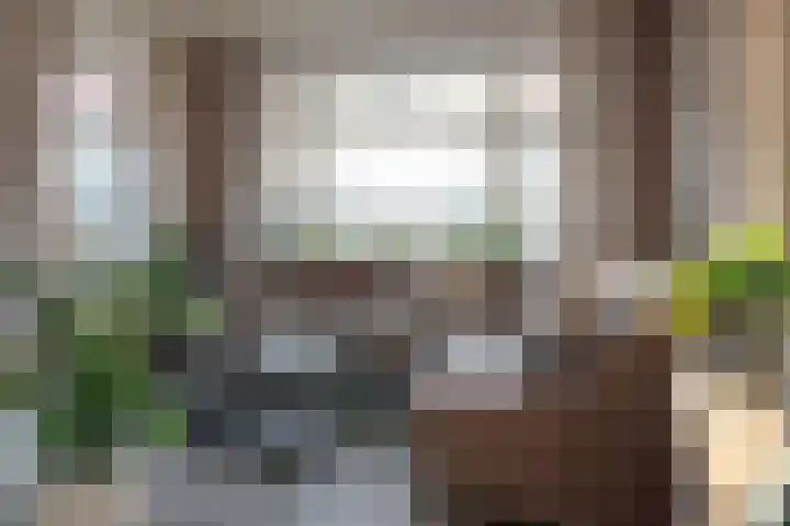 van Beijma thoe Kingmaweg 11 Heerenveen thumbnail 7