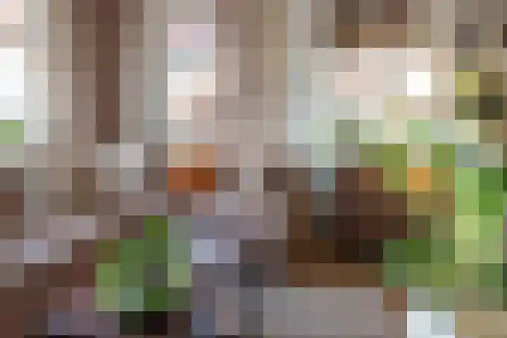 van Beijma thoe Kingmaweg 11 Heerenveen thumbnail 8