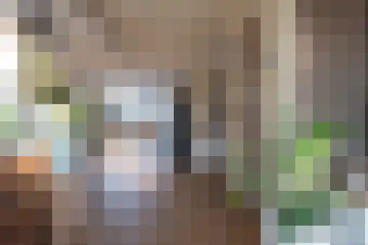 van Beijma thoe Kingmaweg 11 Heerenveen thumbnail 9