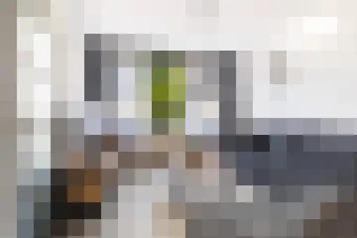 Van Beijmastraat 22 Noardburgum thumbnail 10