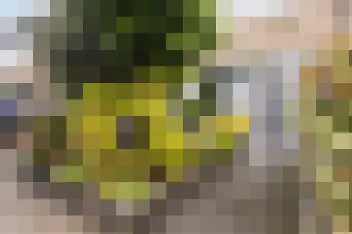 Van Beijmastraat 22 Noardburgum thumbnail 4