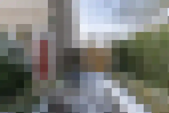 Van Beijmastraat 39 Noardburgum thumbnail 10