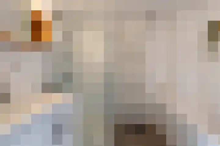Van Beijmastraat 39 Noardburgum thumbnail 4