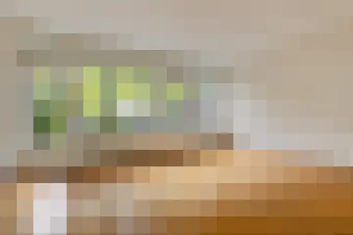 Van Bellelaan 31 Wassenaar thumbnail 11