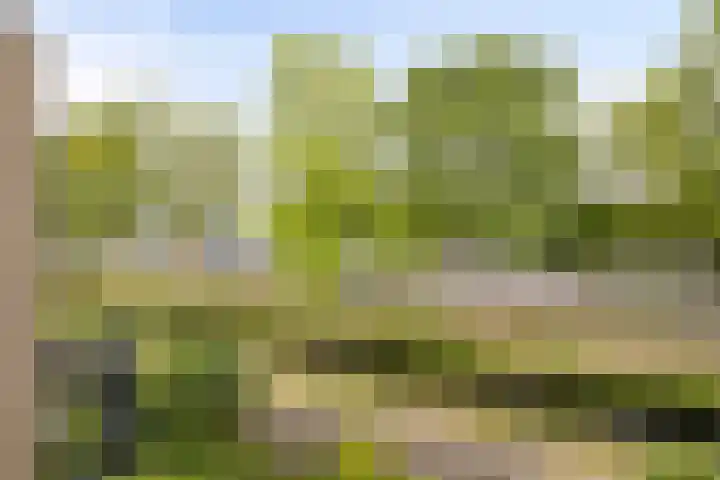 Van Bellelaan 31 Wassenaar thumbnail 30