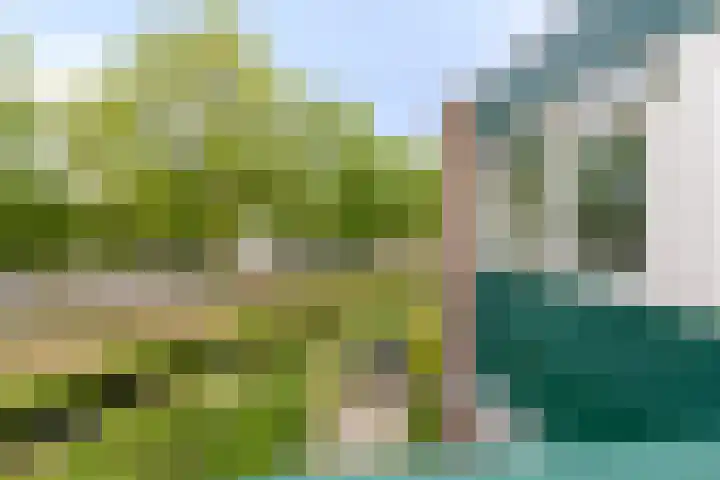 Van Bellelaan 31 Wassenaar thumbnail 31