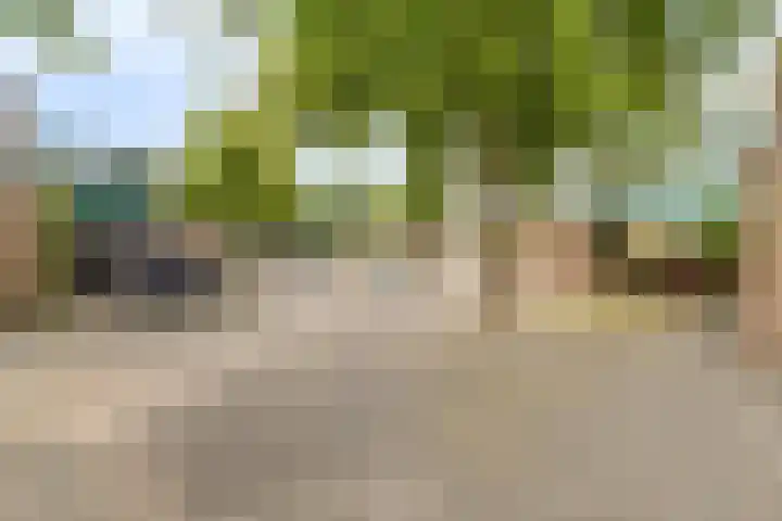 Van Bellelaan 31 Wassenaar thumbnail 42