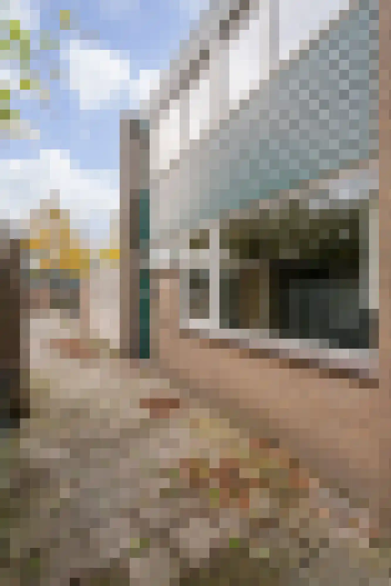 Van Bellelaan 43 Wassenaar thumbnail 26